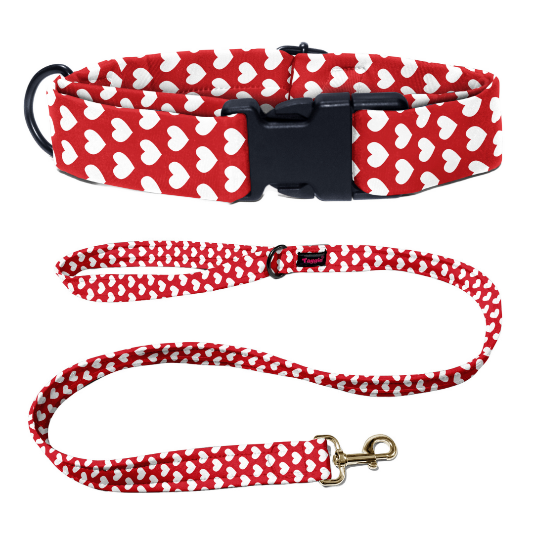 Love & Loyalty Collar-Leash