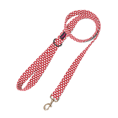 Love & Loyalty Leash