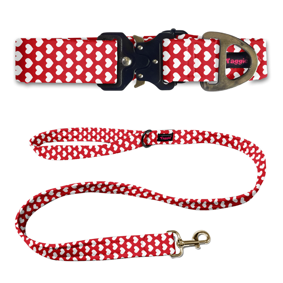 Love & Loyalty Collar-Leash