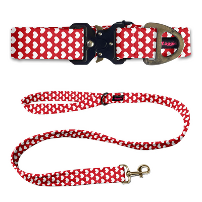 Love & Loyalty Collar-Leash