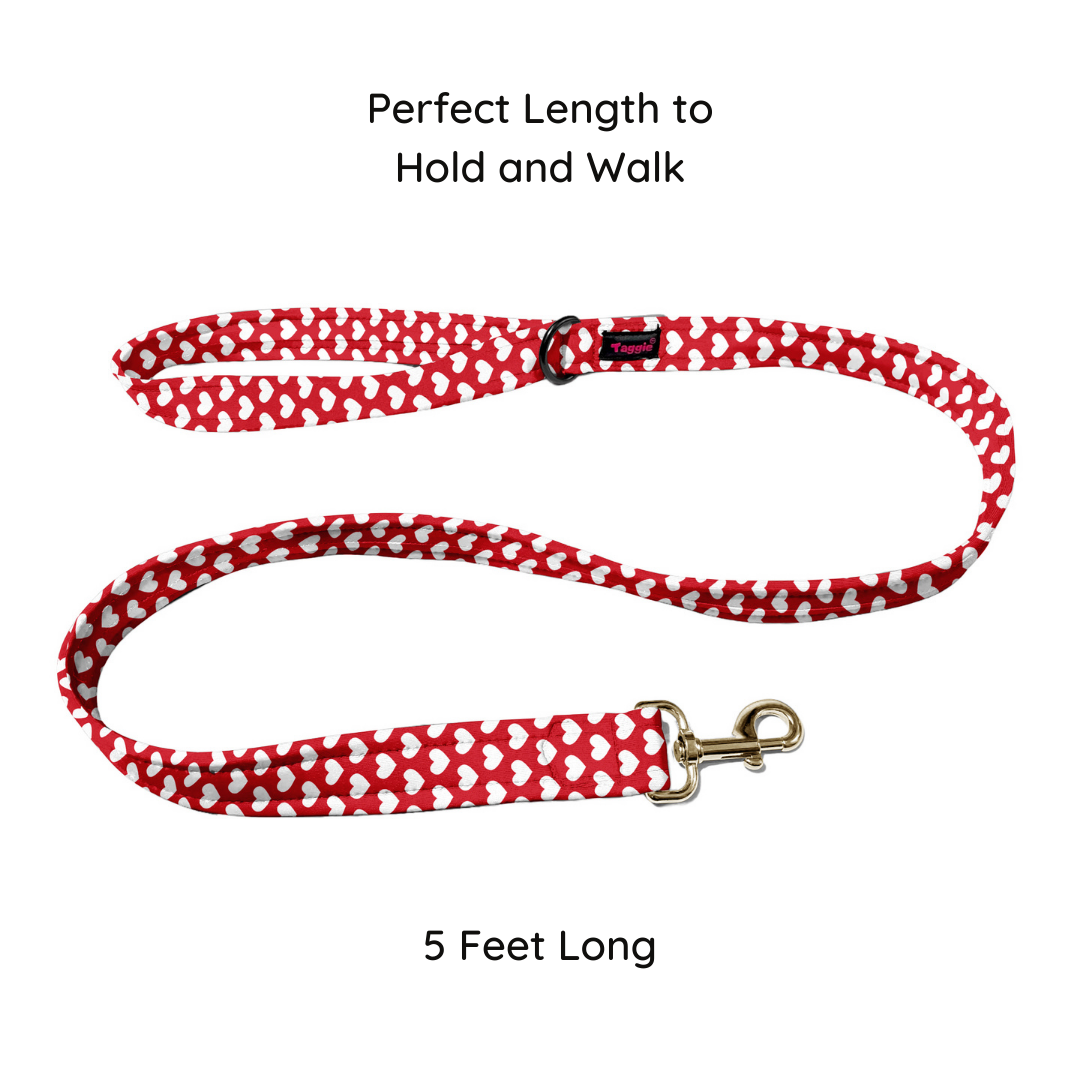 Love & Loyalty Leash