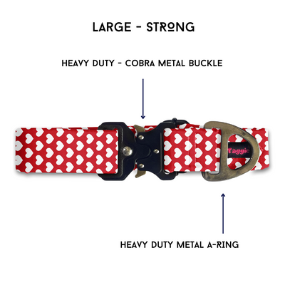Love & Loyalty - Collar & Tag