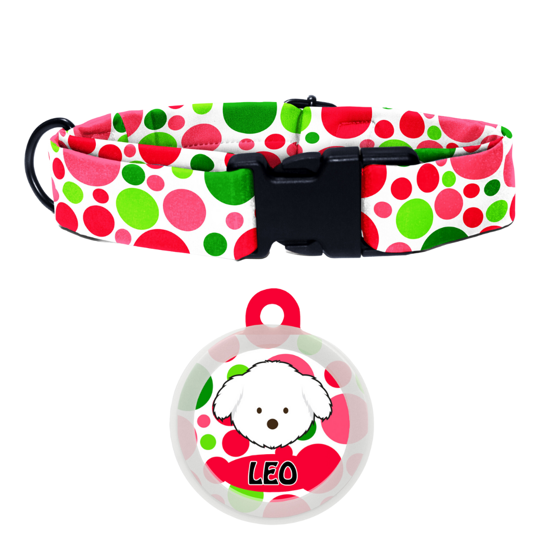 Maltese - Collar & Tag