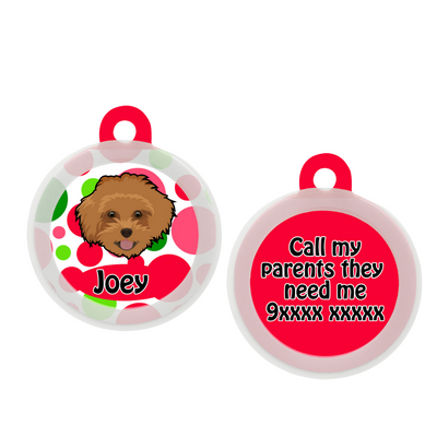 Maltipoo Brown - Collar & Tag