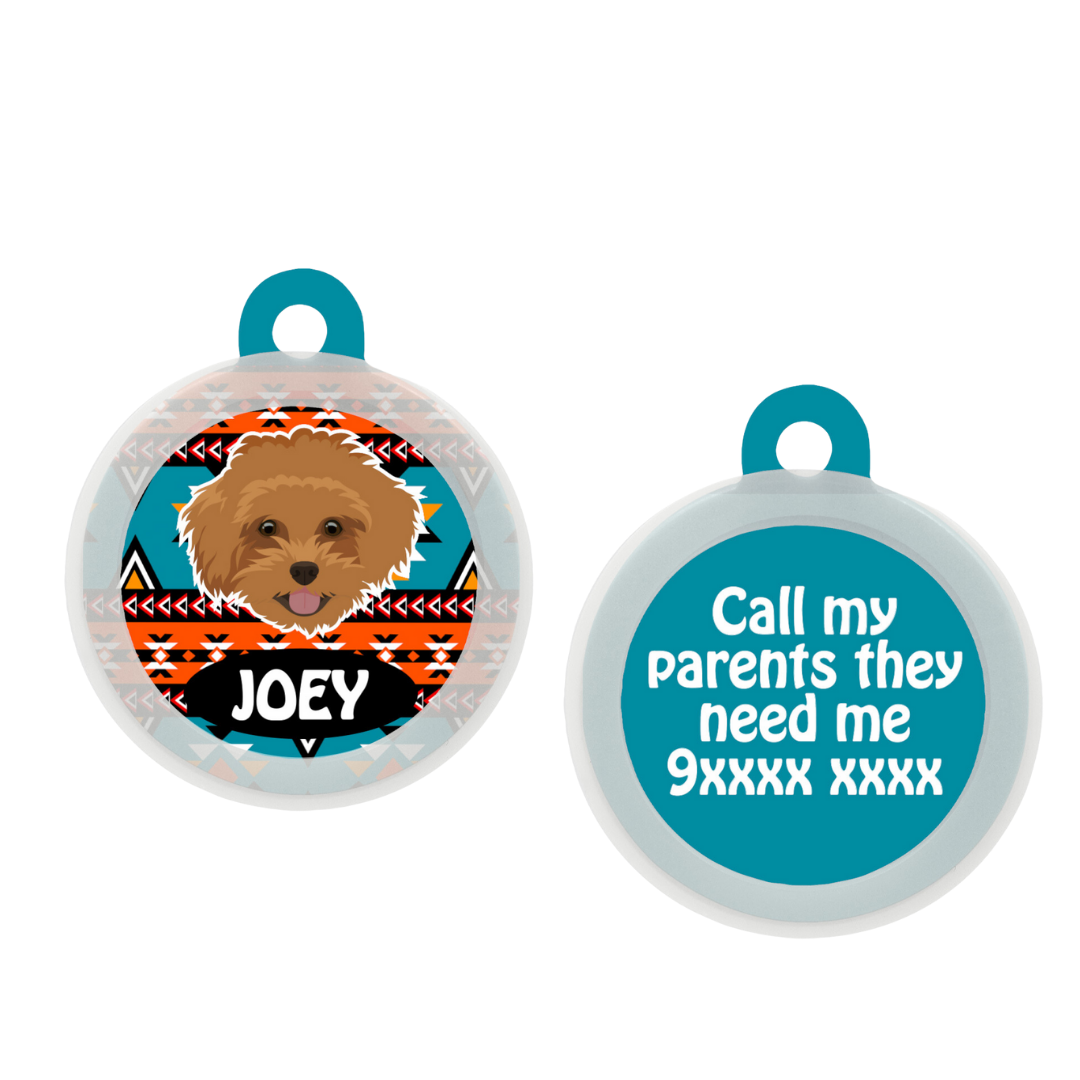 Maltipoo Brown - Collar & Tag