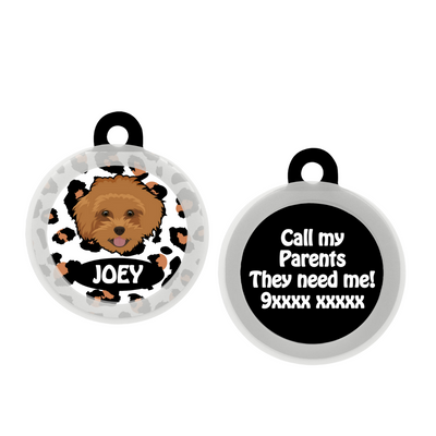 Maltipoo Brown - Collar & Tag