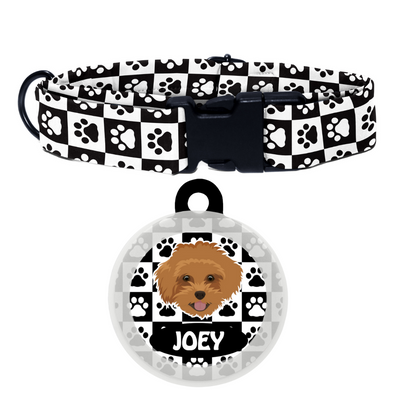 Maltipoo Brown - Collar & Tag