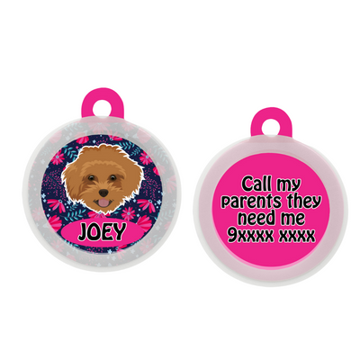 Maltipoo Brown - Collar & Tag
