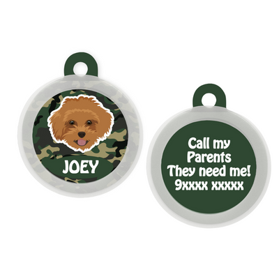 Maltipoo Brown - Collar & Tag