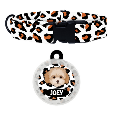 Maltipoo White-Brown - Collar & Tag