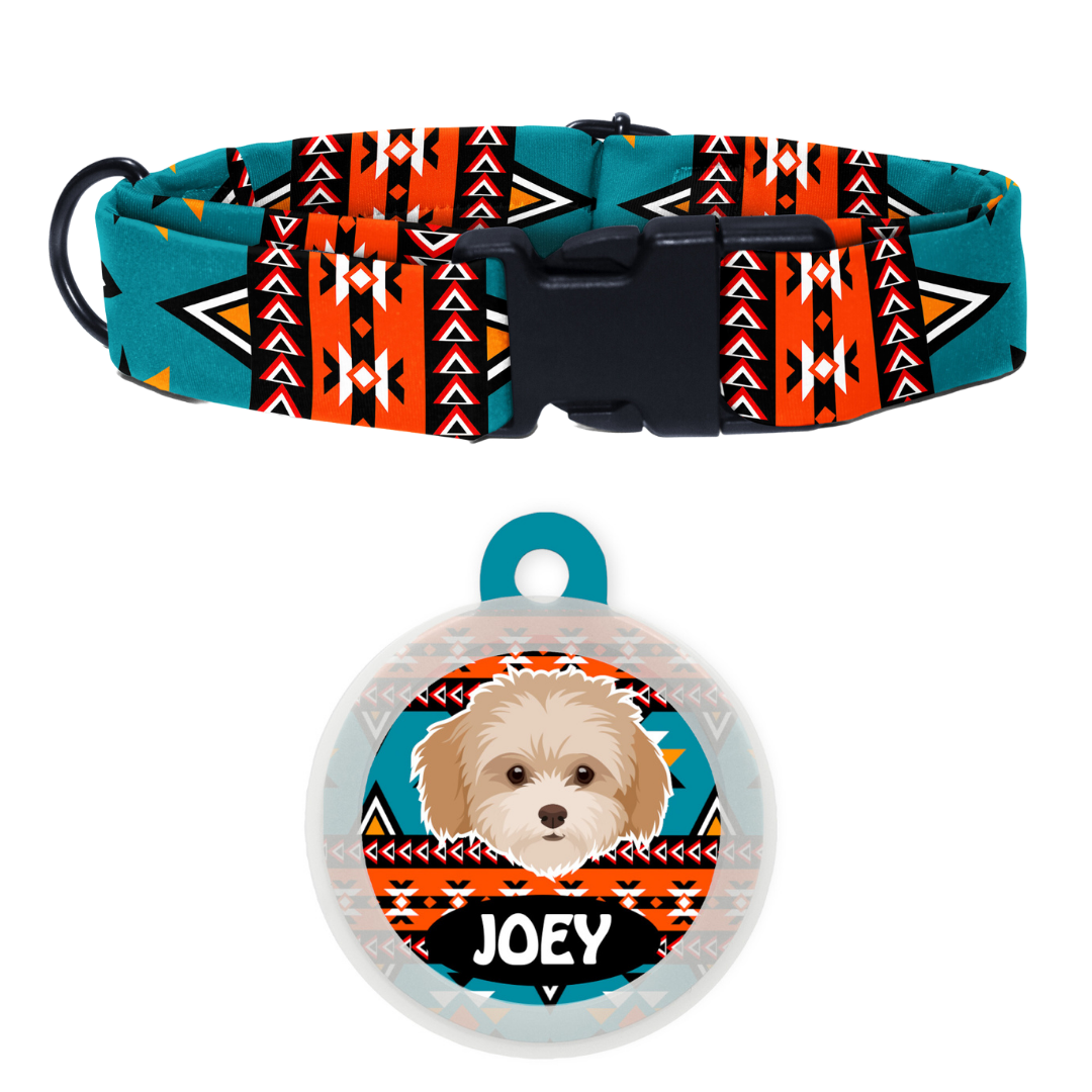 Maltipoo White-Brown - Collar & Tag