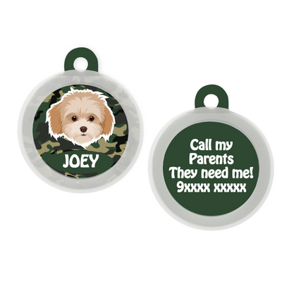 Maltipoo White-Brown - Collar & Tag