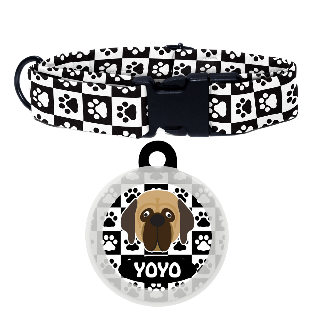 Mastiff  - Collar & Tag