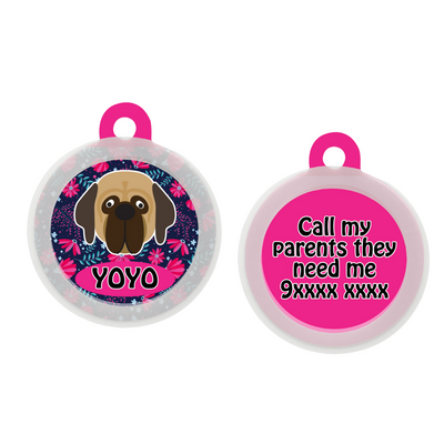 Mastiff  - Collar & Tag