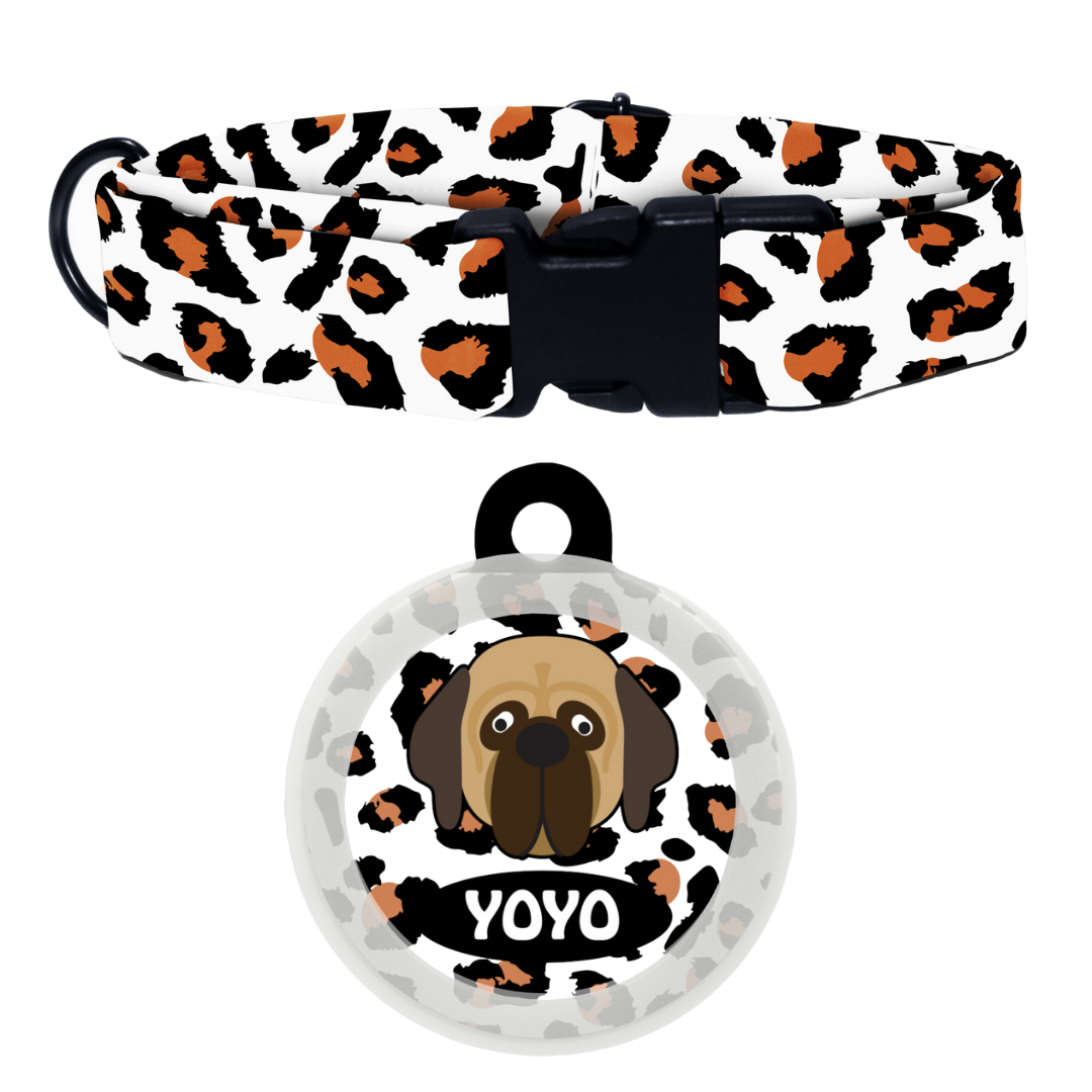 Mastiff  - Collar & Tag