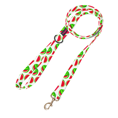 Melon Mingle Leash