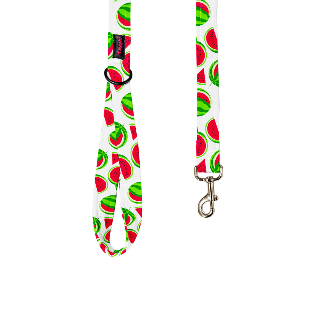 Melon Mingle Leash