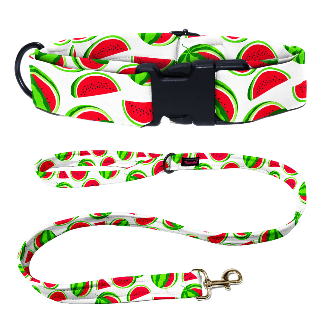 Melon Mingle Collar-Leash