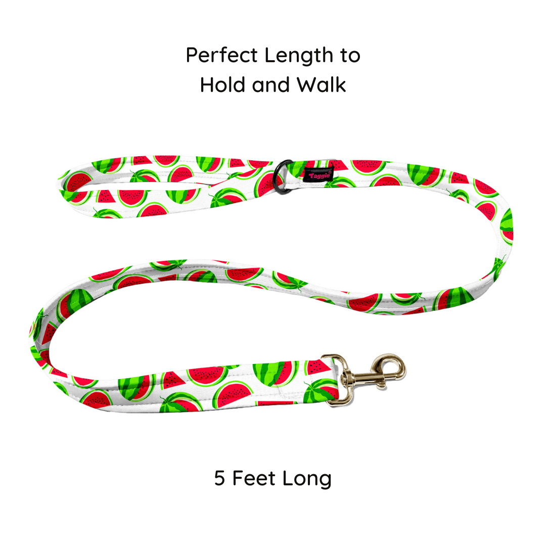Melon Mingle Leash