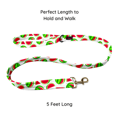 Melon Mingle Collar-Leash