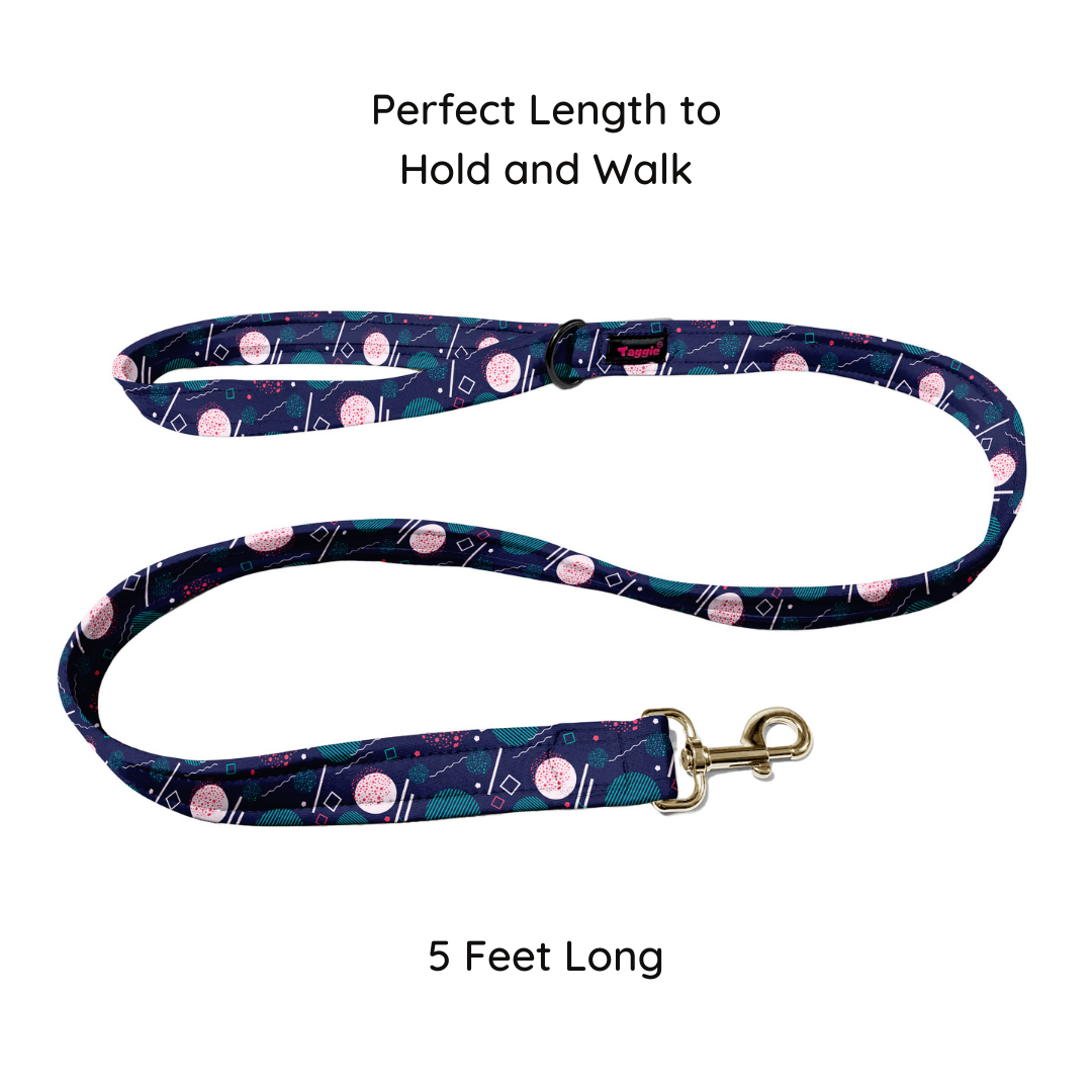 Offbeat Opulence Collar-Leash