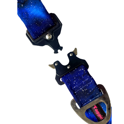 Outer Orbit