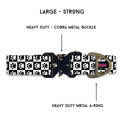 Pomeranian - Collar & Tag
