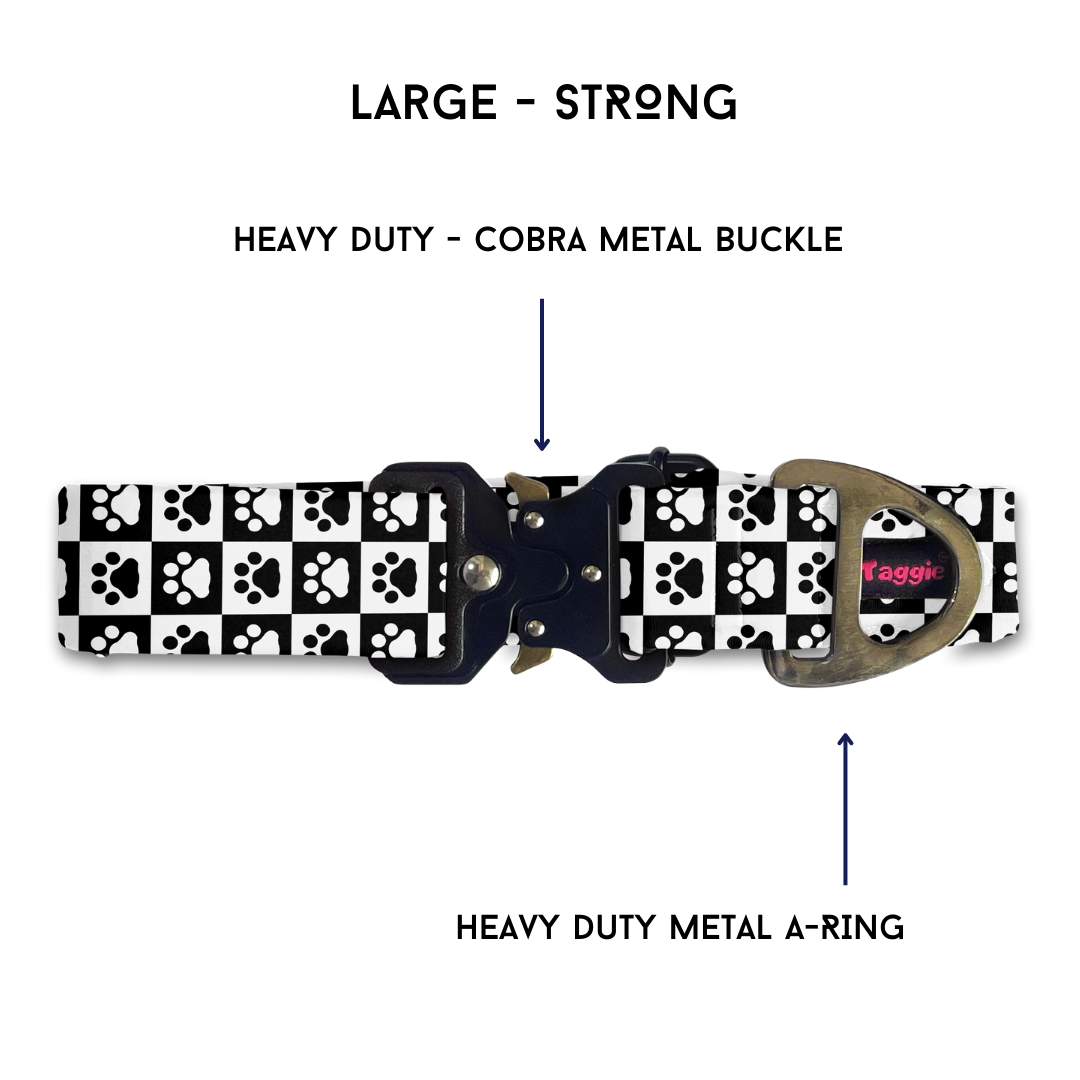 Shih Tzu  - Collar & Tag
