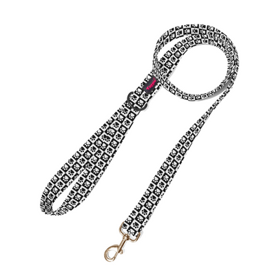 Paws & Boxes Leash
