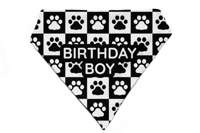 Paws & Boxes - Bandana