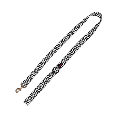 Paws & Boxes Leash