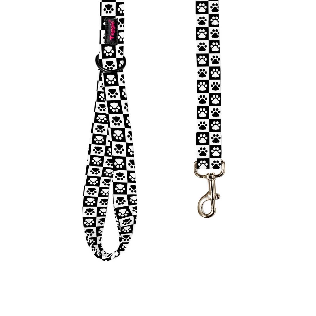 Paws & Boxes Leash