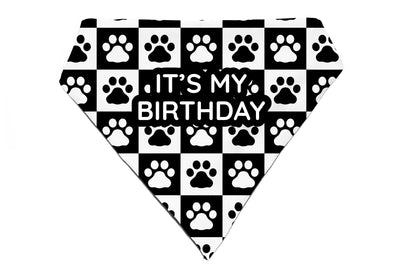 Paws & Boxes - Bandana