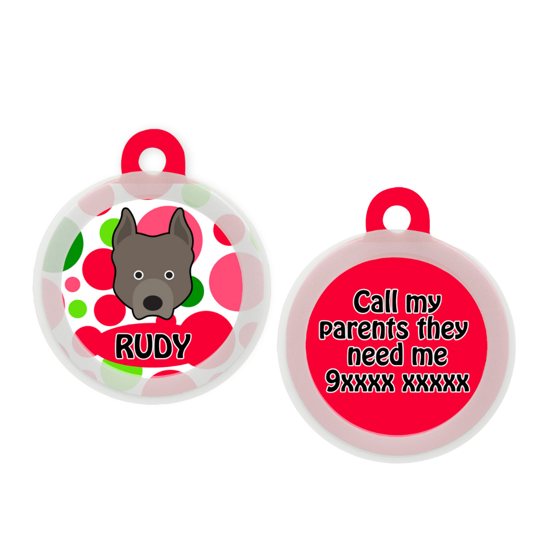 Pit Bull  - Collar & Tag
