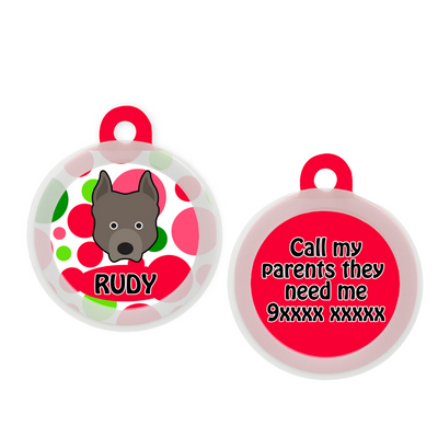 Pit Bull  - Collar & Tag