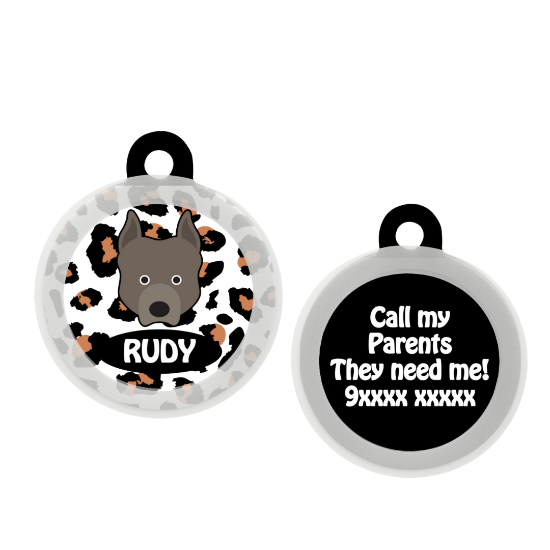 Pit Bull  - Collar & Tag