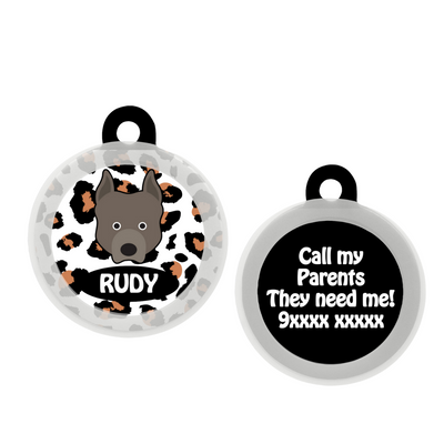 Pit Bull  - Collar & Tag