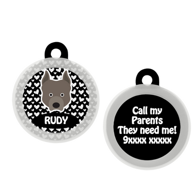 Pit Bull  - Collar & Tag