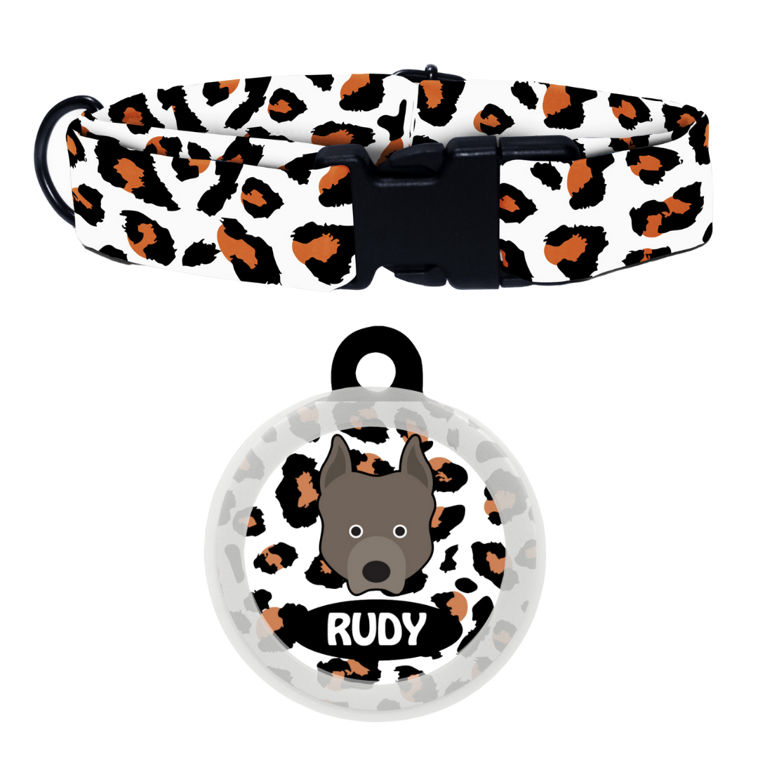 Pit Bull  - Collar & Tag