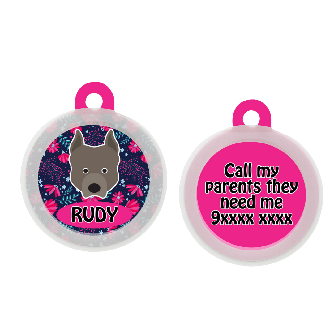 Pit Bull  - Collar & Tag