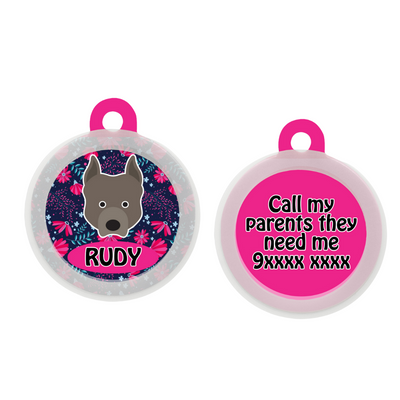 Pit Bull  - Collar & Tag