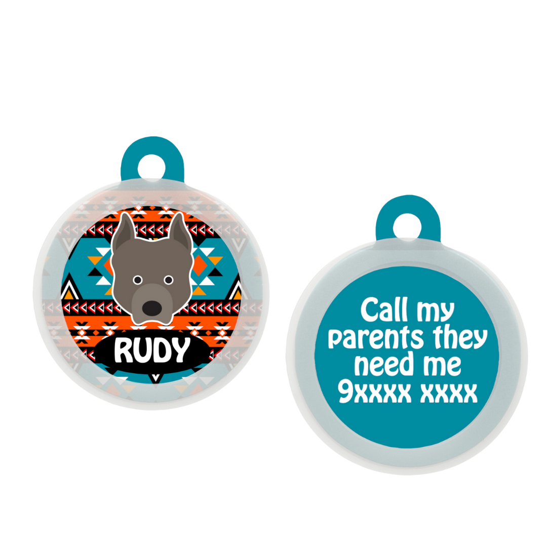 Pit Bull  - Collar & Tag