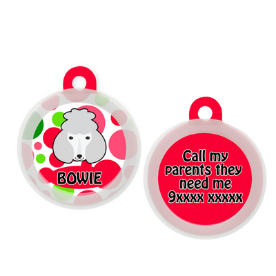 Poodle - White - Collar & Tag