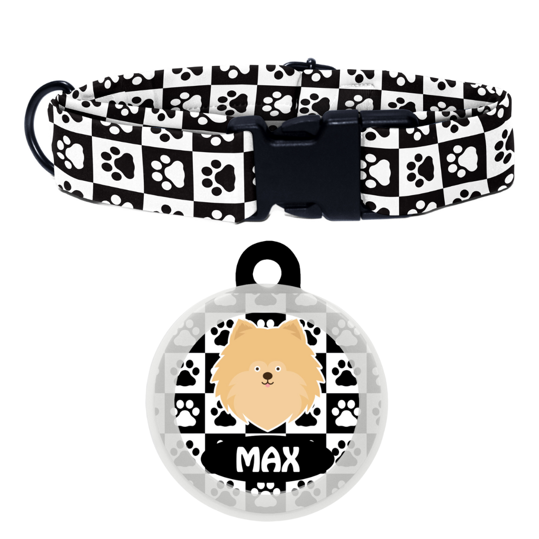 Pomeranian - Collar & Tag