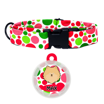 Pomeranian - Collar & Tag