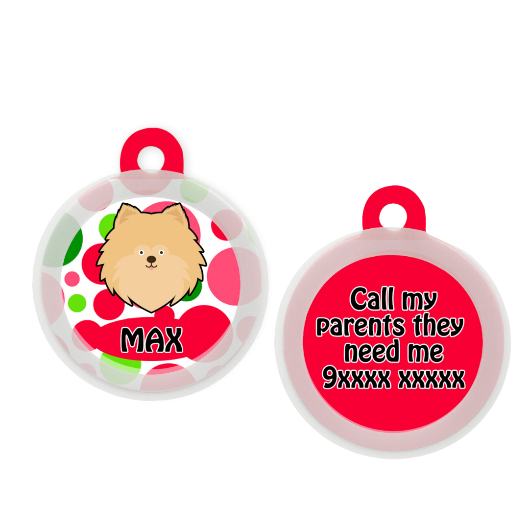 Pomeranian - Collar & Tag