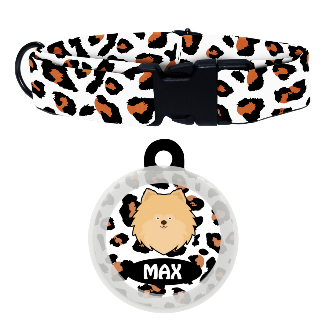 Pomeranian - Collar & Tag