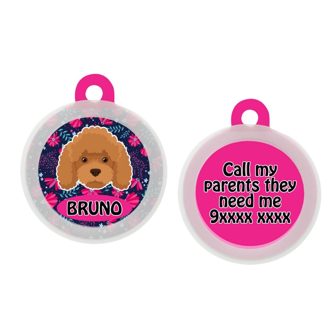 Poodle - Brown - Collar & Tag