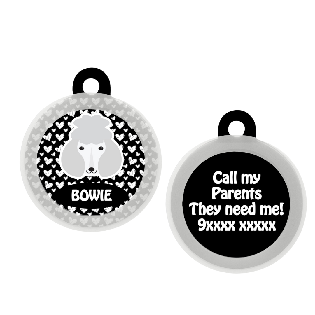 Poodle - White - Collar & Tag