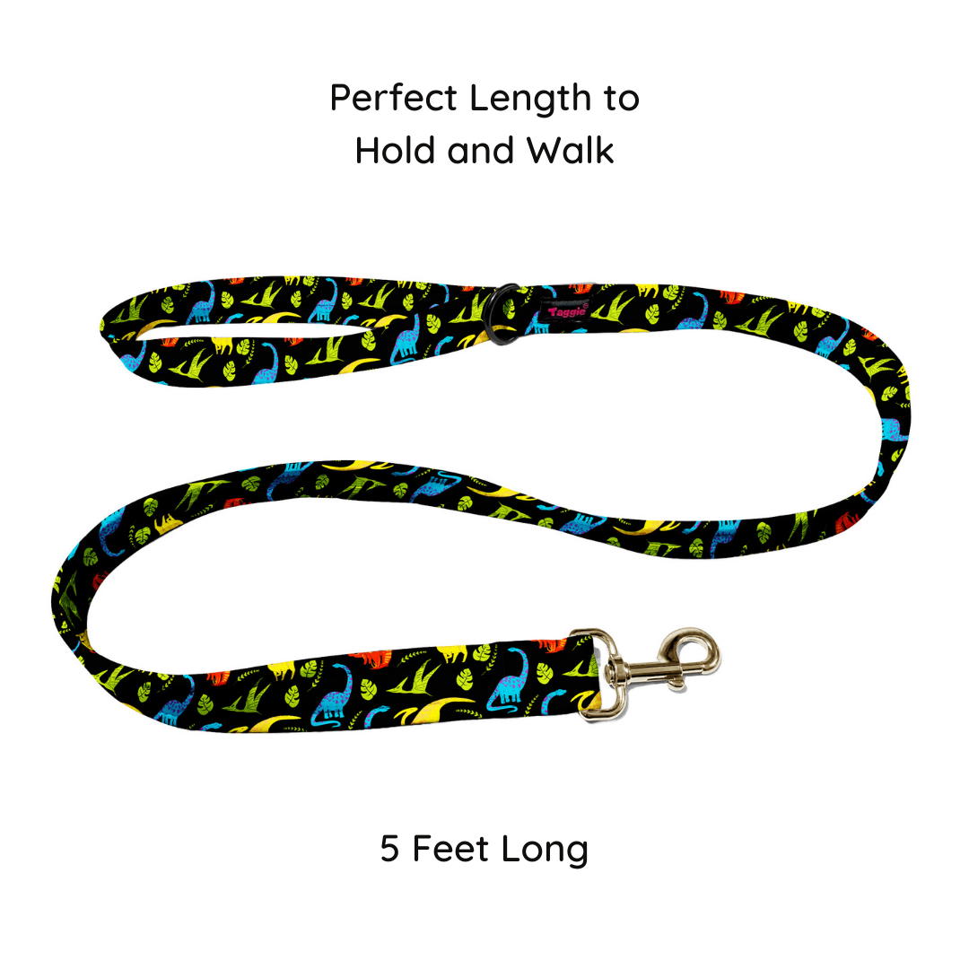 Prehistoric Pals Collar-Leash